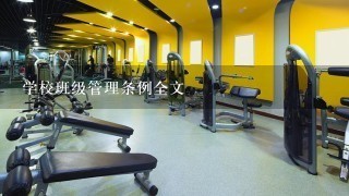 学校班级管理条例全文