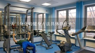 三天三分化的健身方法具体指什么？