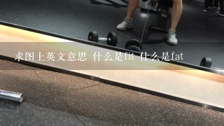 求图上英文意思 什么是fit 什么是fat