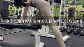 为什么健身的人要每天吃很多鸡蛋？鸡蛋对肌肉有什么