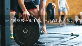 去了健身房1礼拜了，1开始肌肉会酸，现在不会酸了，这样持续去健身房的话肌肉还会涨吗？